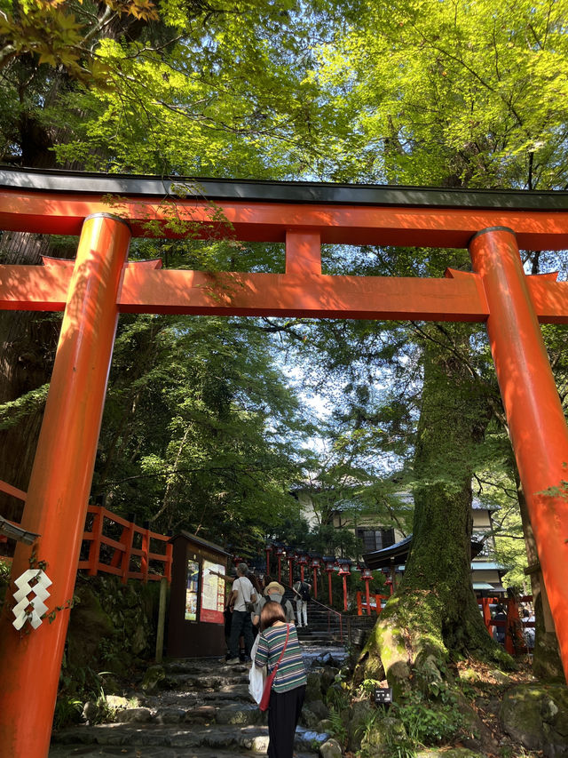 京都5間氣氛好、能量強的神社！感覺有點不一樣吧～