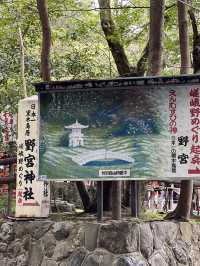 사랑❤️이 넘처나는 노노미야 신사⛩️ 연분을 맺어보세요! "Nonomiya Shrine"