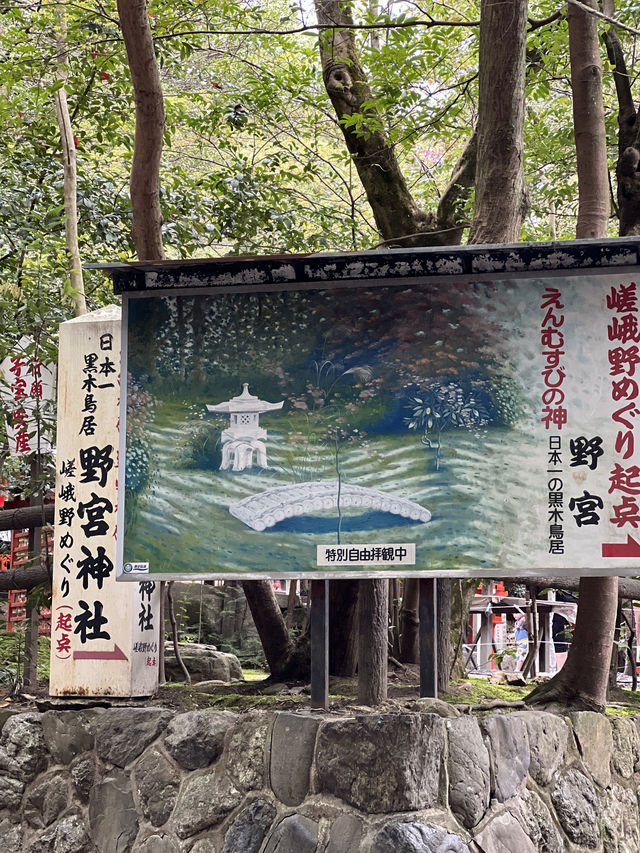 사랑❤️이 넘처나는 노노미야 신사⛩️ 연분을 맺어보세요! "Nonomiya Shrine"