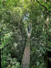 Gunung Mulu National Park