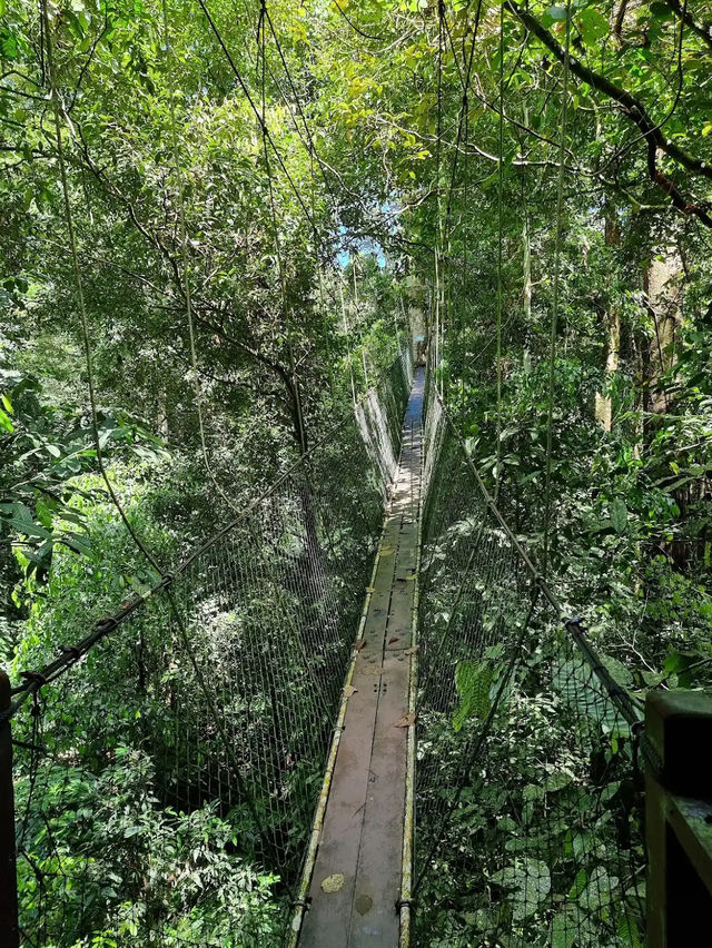 Gunung Mulu National Park