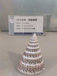 #旗津貝殼館-高雄市旗津區