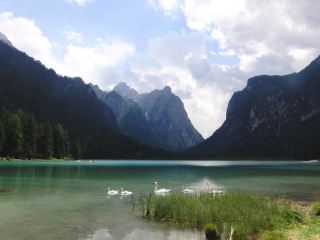 Explore Dobbiaco Lake!