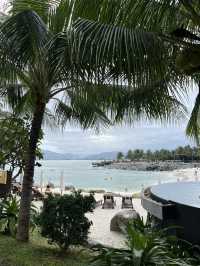 아미아나 리조트에서의 완벽했던 힐링 여행🌴☀️