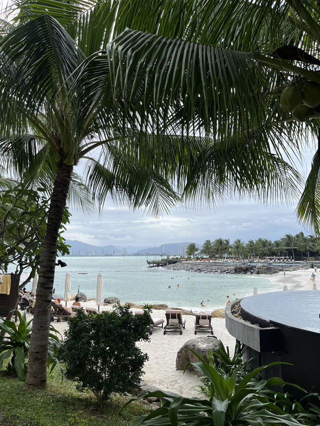 아미아나 리조트에서의 완벽했던 힐링 여행🌴☀️