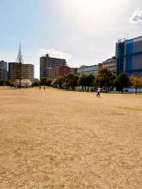 【大分】大分で観光地情報をゲットするならココ✨