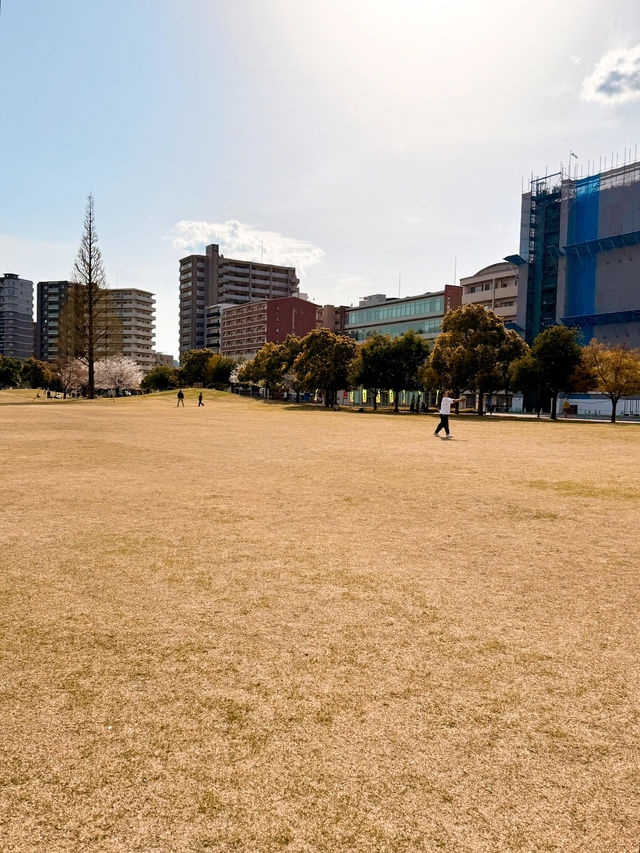 【大分】大分で観光地情報をゲットするならココ✨