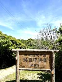 【千葉】鵜原理想郷のハイキングコース 薄暗いトンネルからはじまります。