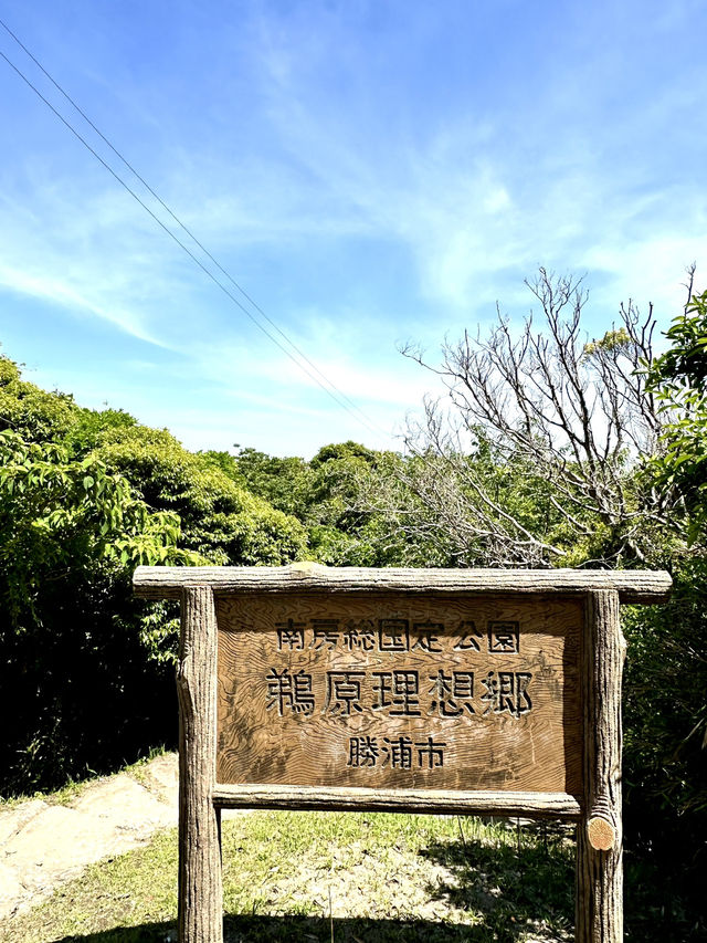 【千葉】鵜原理想郷のハイキングコース 薄暗いトンネルからはじまります。