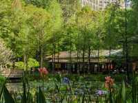 Guangzhou Zhujiang Park– The Green Heart of the City