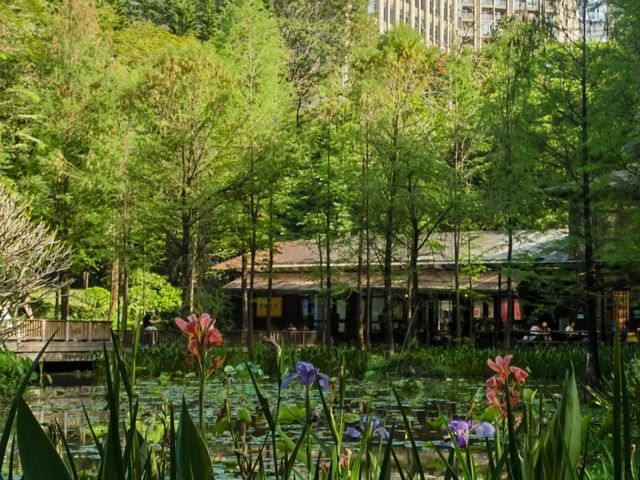 Guangzhou Zhujiang Park– The Green Heart of the City