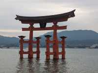 【広島】嚴島神社で海に浮かぶ鳥居を見る！