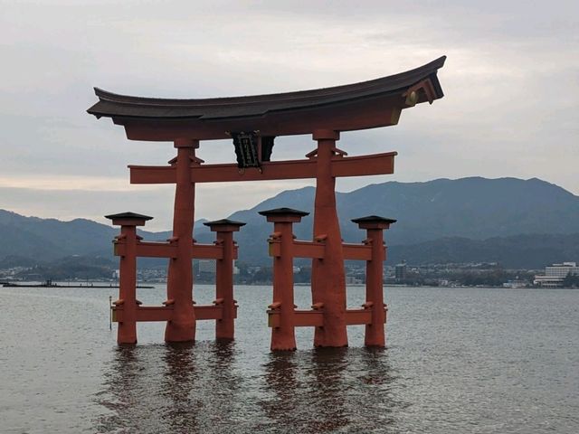 【広島】嚴島神社で海に浮かぶ鳥居を見る！
