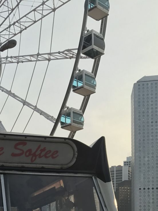 Scenic Views from the Hong Kong Observation Wheel