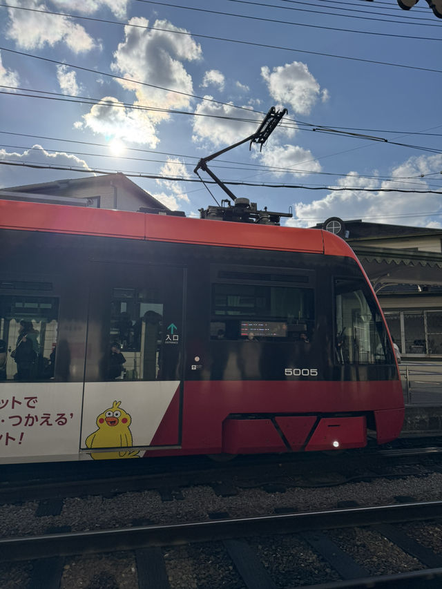 🚋 마쓰야마 교통편 정리, 똑똑하게 이동하세요!