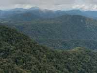Cameron Highlands trek