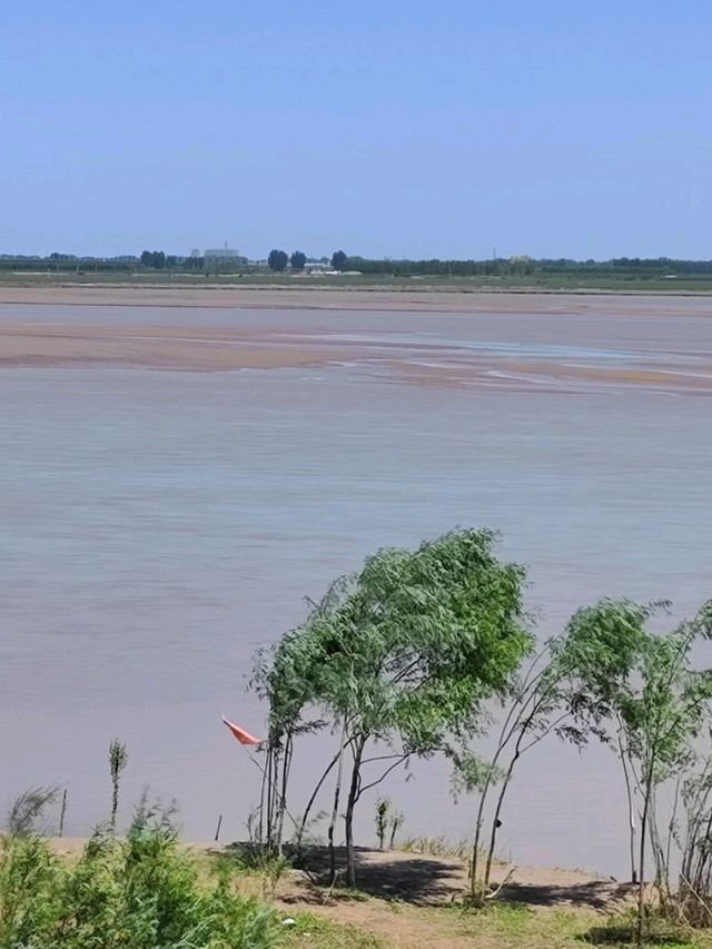沈重歷史的黃河花園口 
