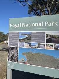 【シドニー】電車とフェリーで行ける大自然！Royal National Park で癒しのトレイル旅