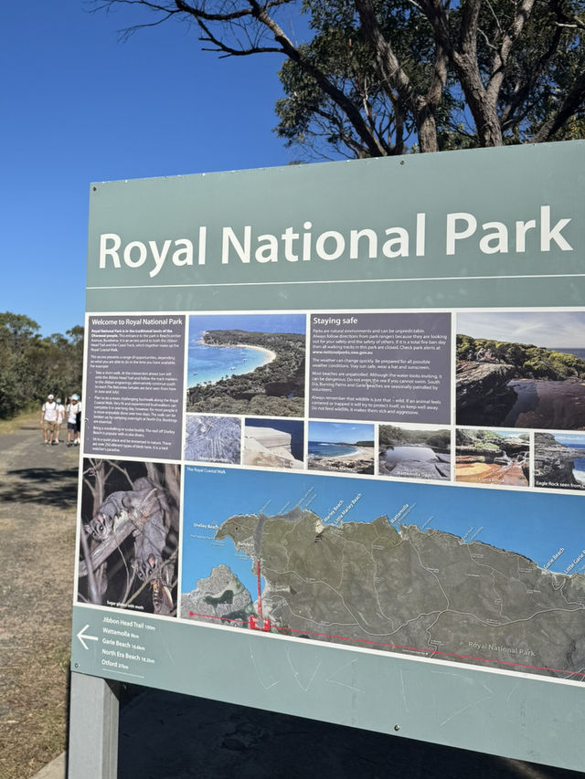 【シドニー】電車とフェリーで行ける大自然！Royal National Park で癒しのトレイル旅