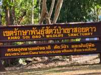 เขตรักษาพันธุ์สัตว์ป่าเขาสอยดาว