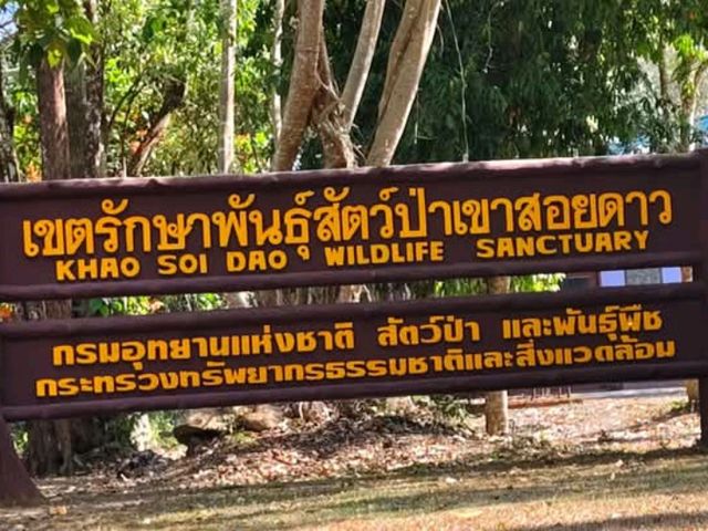 เขตรักษาพันธุ์สัตว์ป่าเขาสอยดาว