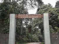 Gomantong Caves – The Wild, Otherworldly Heart of Sabah