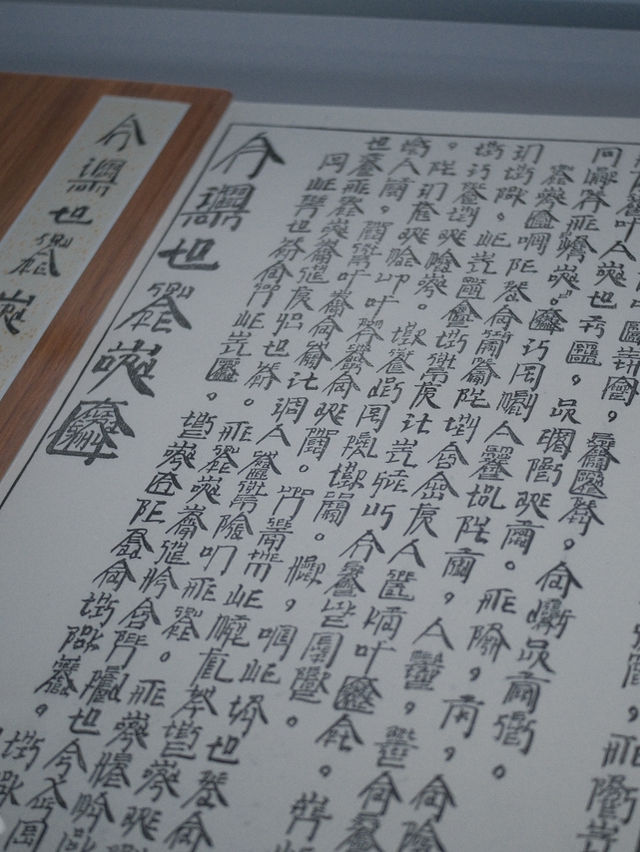 【香港藝術館】文字免費展覽✍🏻 徐冰在香港：想東想西─英文方塊字書法教室