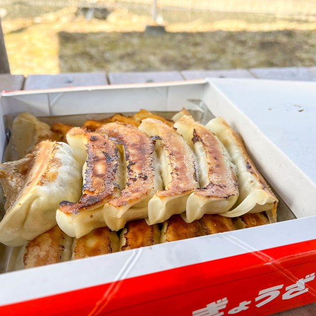 【宇都宮と餃子】地元の人たちのおすすめ、餃子一本勝負のまさし（正嗣）
