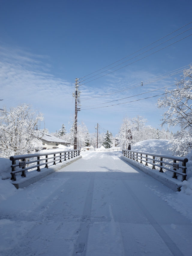 【北海道・旭岳】K’s House Hokkaido【一人旅におすすめ】