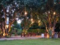 คาเฟ่ในสวน Napa Cafe and Craft 