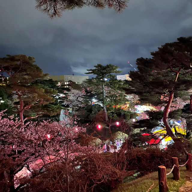 三輪南公園•夜櫻下的浪漫