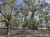 Exploring Mersing Geopark: Johor's Hidden Geological Gem