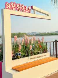 Several Nearby Attractions worth Exploring near Uiwang Stations