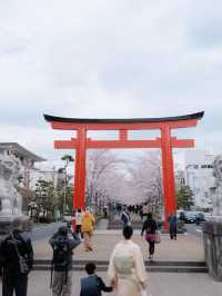 Kamakura's Cherry Blossom Magic: A Dreamy Love Story 🌸💖