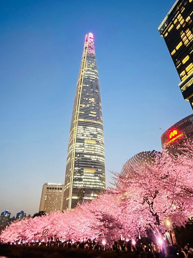 Cherry Blossoms at Seokchon Lake: A Fairytale Scene with Lotte World's Magic Castle