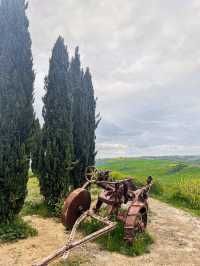 สัมผัสทุ่งหญ้าเขียวที่ ทัสคานี (Tuscany)