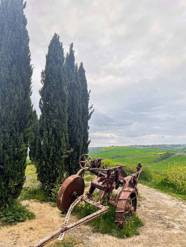 สัมผัสทุ่งหญ้าเขียวที่ ทัสคานี (Tuscany)