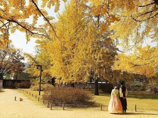 🍂 HÀN QUỐC VÀO THU ĐẸP NHƯ TÌNH 
