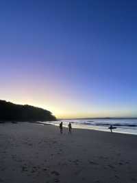 澳洲🦘Sunshine Coast - Tea tree