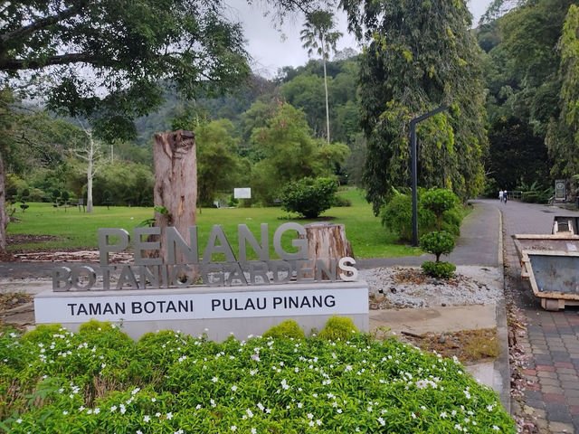 🌿 Botanic Gardens Adventure: Penang’s Green Oasis of Monkeys & Magic!  