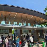 [上野動物園]関東でパンダが見られるのはここだけ！子供連れ観光地の定番