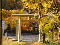 ⛩️ パワースポット発見！「定山渓神社」で心身リセット