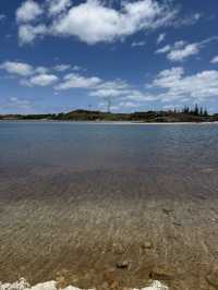 澳洲珀斯必去一日遊景點-羅特尼斯島（Rottnest Island）
