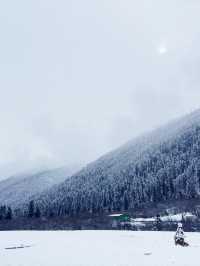 Dagu Glacier:  alpine paradise