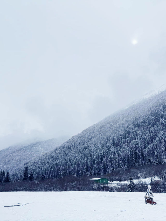 Dagu Glacier:  alpine paradise