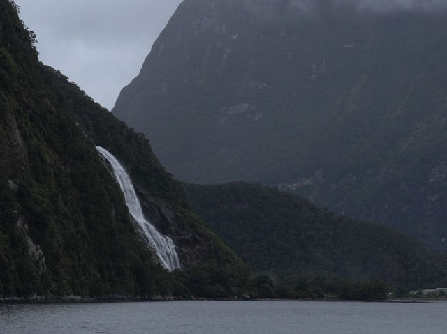 紐西蘭南島｜Milford Sound｜雨神眷顧的世界遺產，細雨中的壯麗峽灣