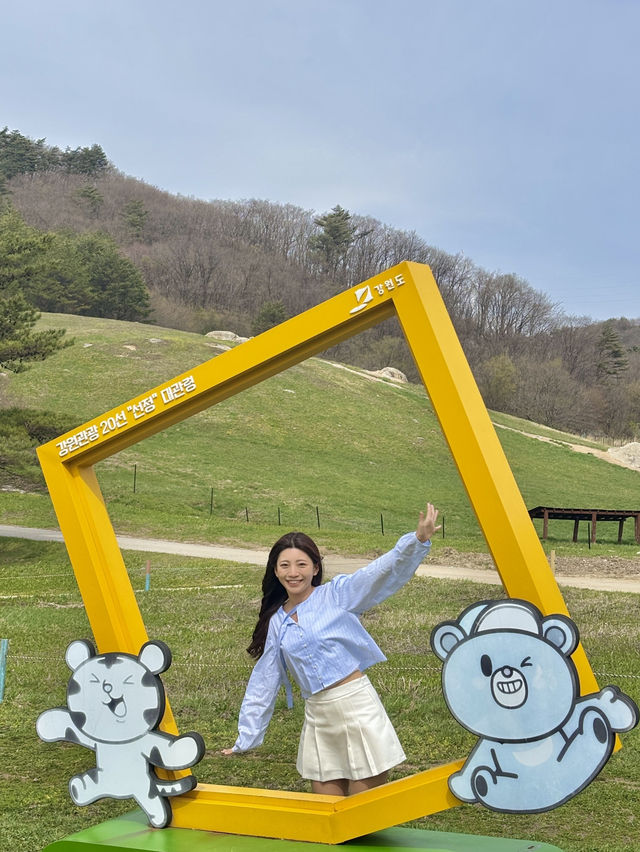 마음의 평화가 필요할 때 찾게되는 평창 목장💛