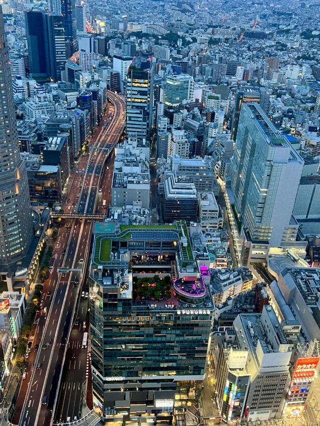 일본여행 -도쿄- 일본여행 -도쿄-