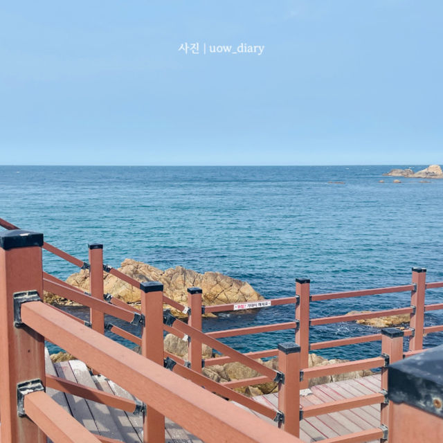 양양 드라이브 1일 여행코스