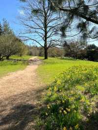 Golden Acre Park